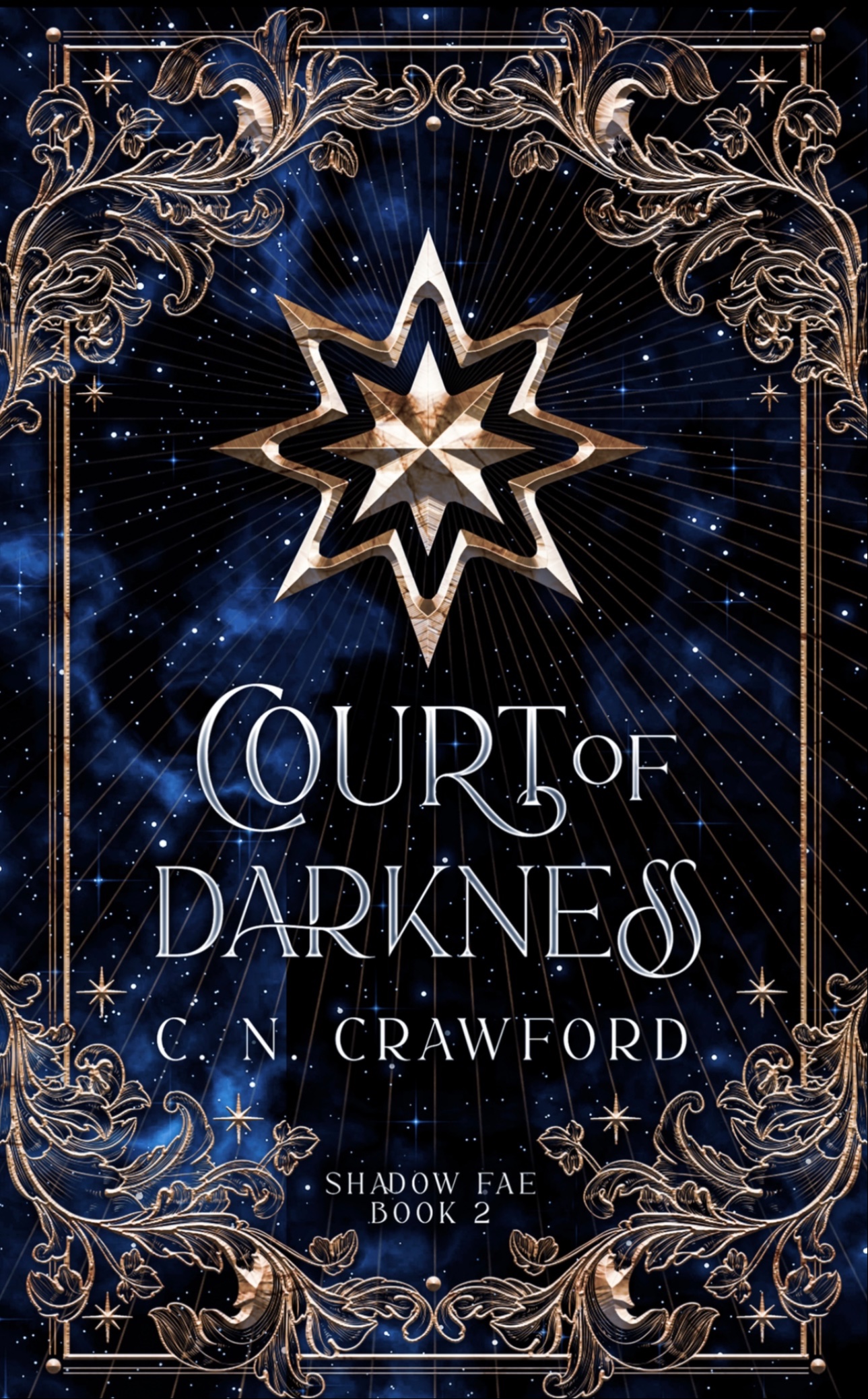 Court of Darkness (Shadow Fae Book 2)