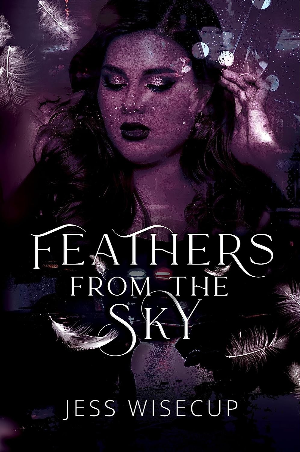 Feathers From The Sky