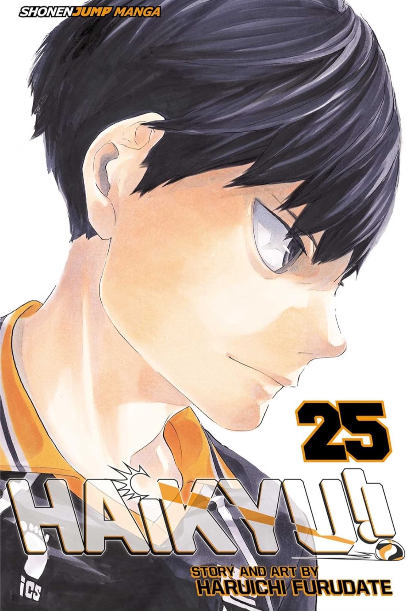 Haikyū!!, Vol. 25