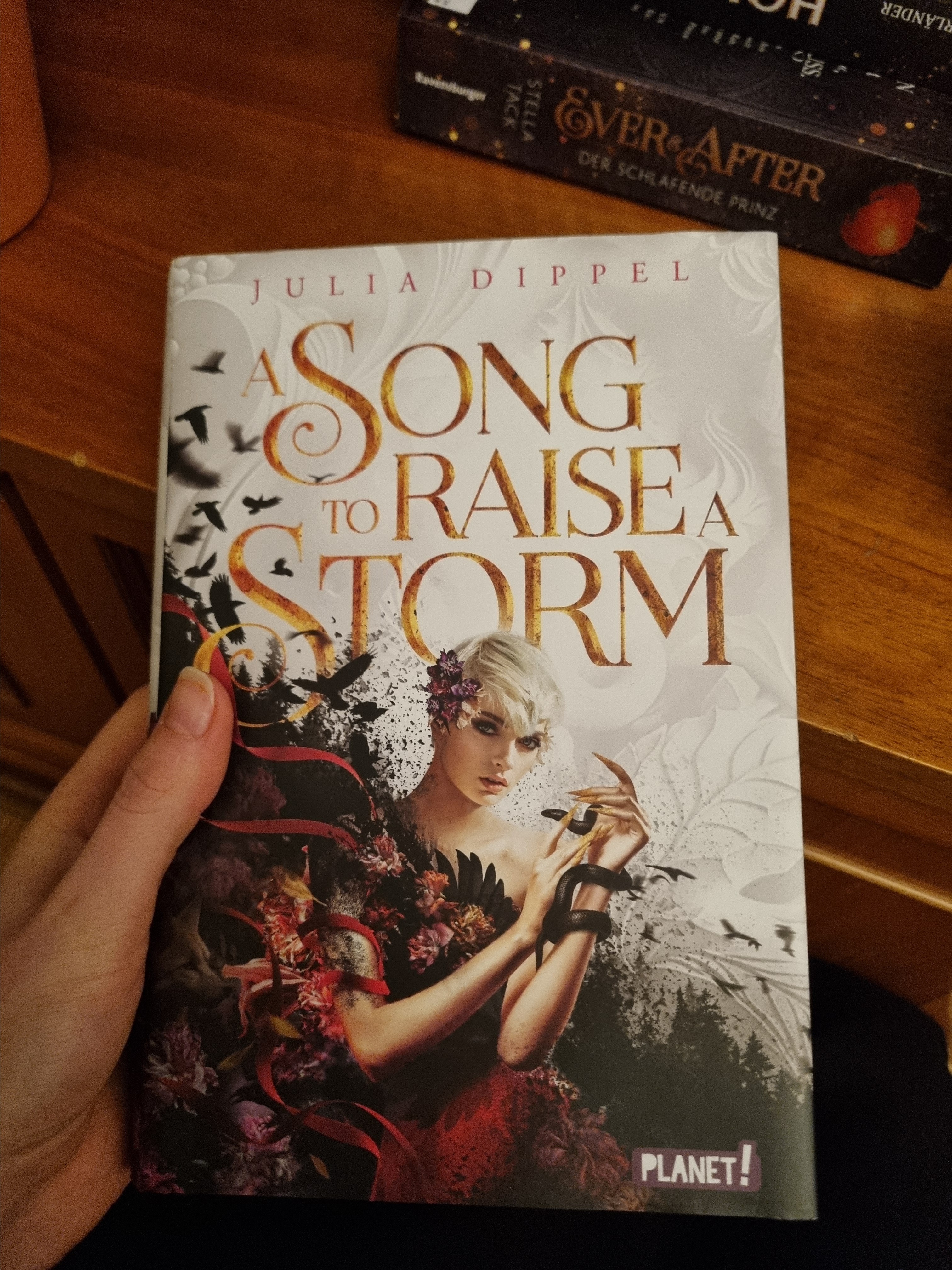 A Song To Raise A Storm 