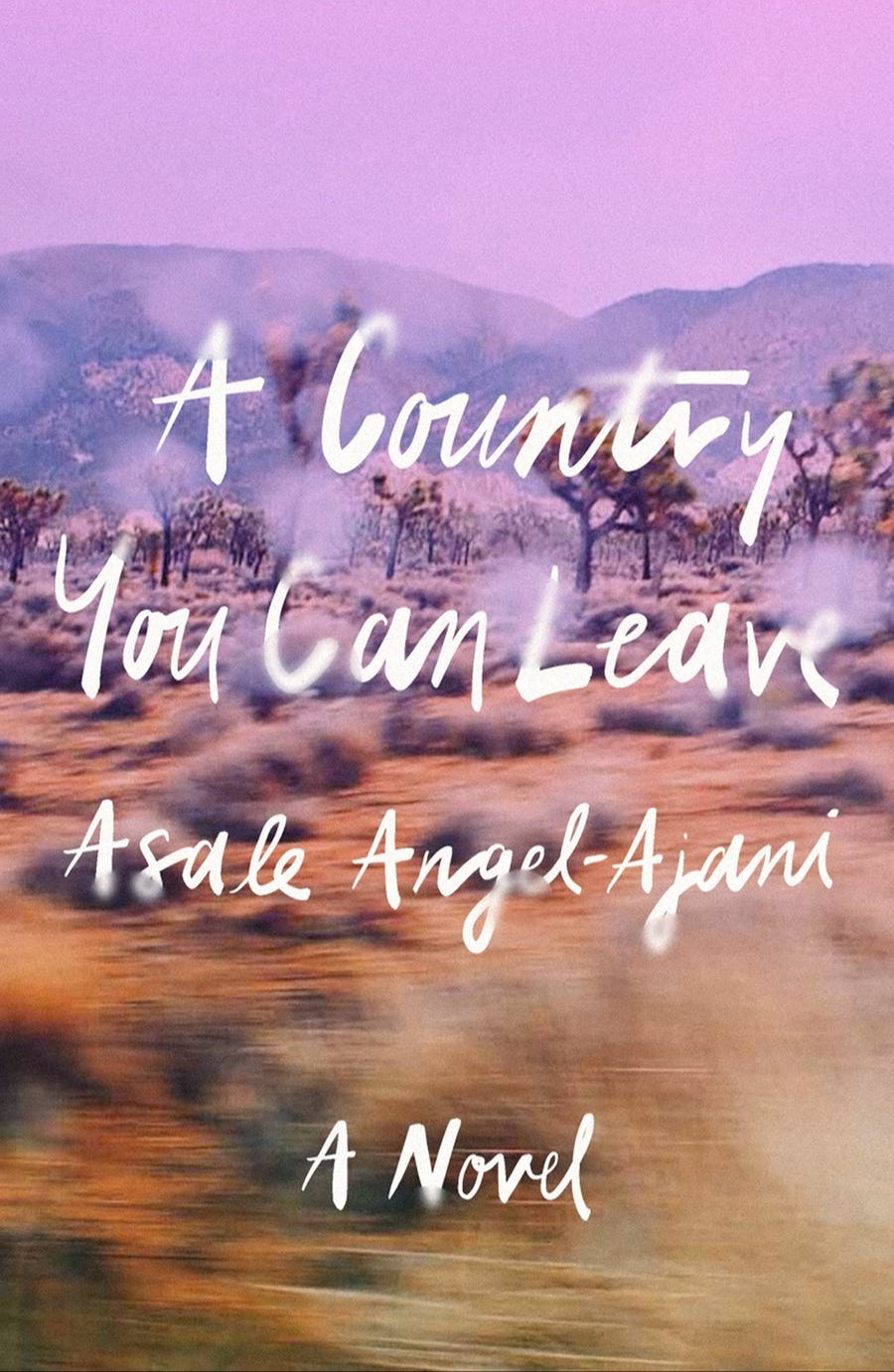 A Country You Can Leave 