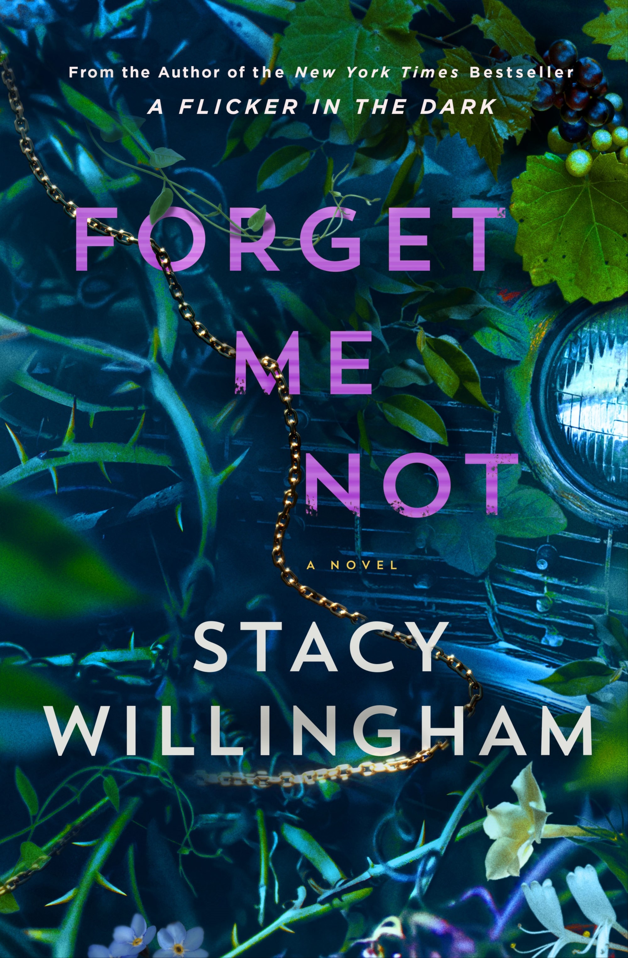 Forget Me Not 