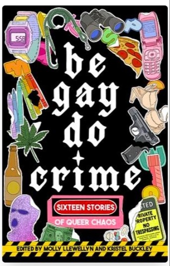 Be Gay, Do Crime