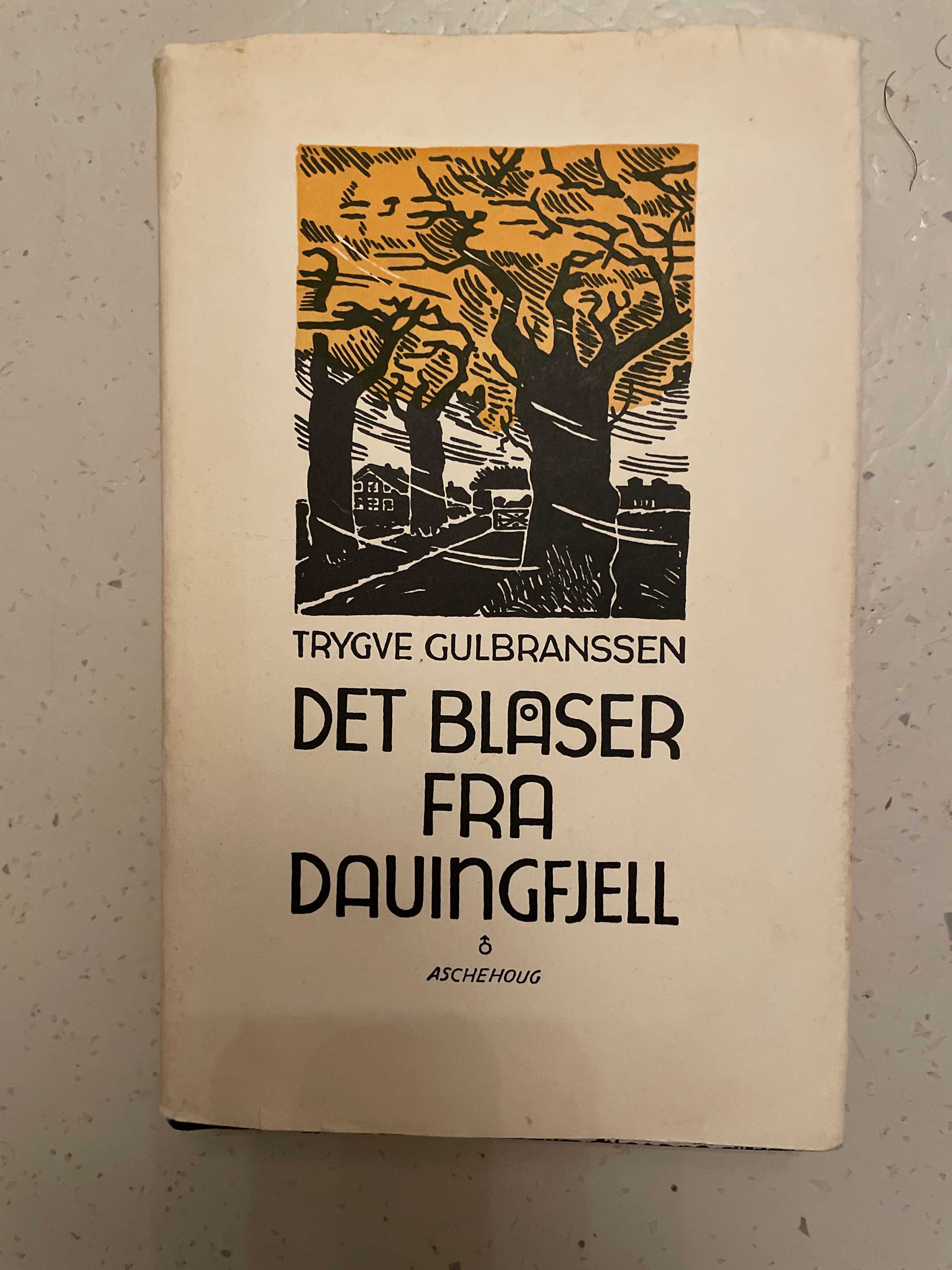Det blåser fra Dauingfjell