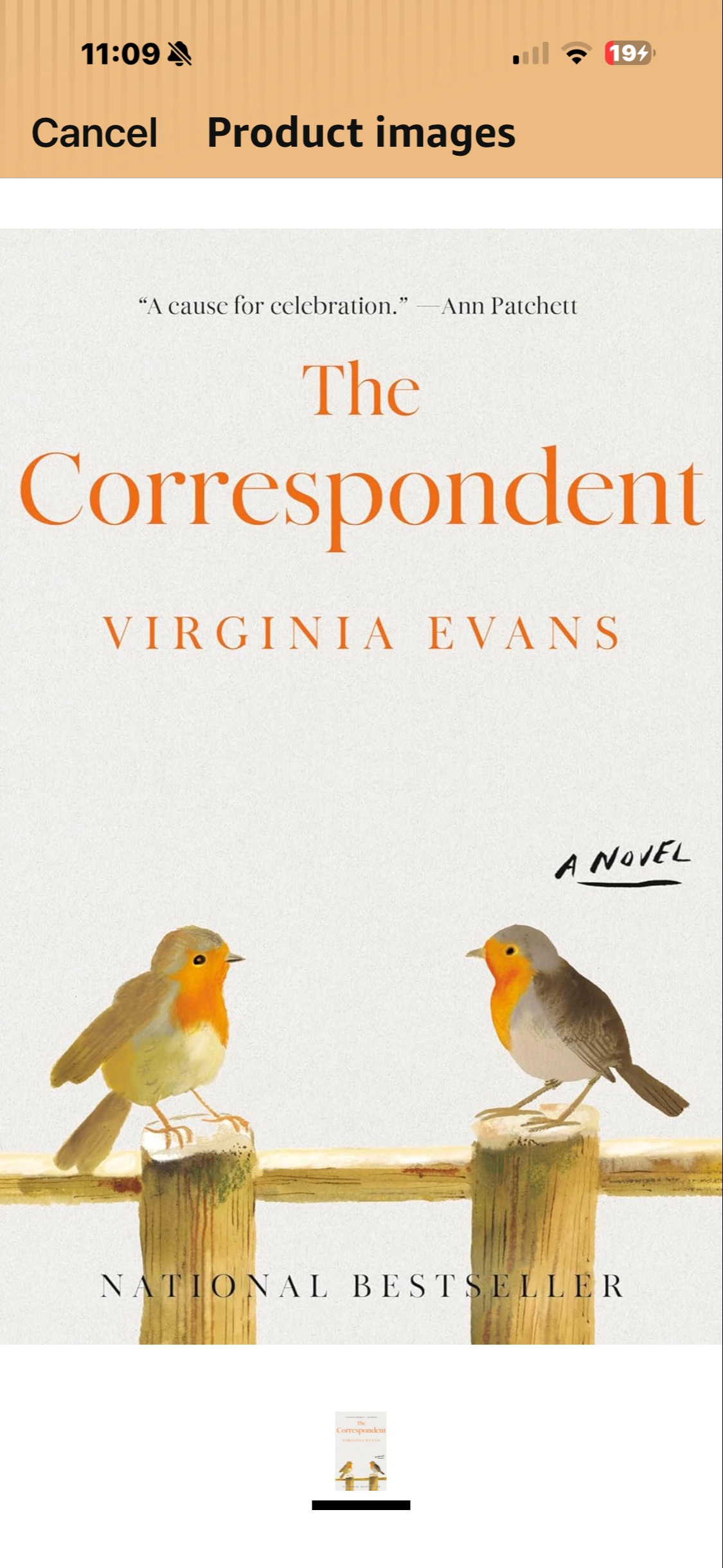The Correspondent