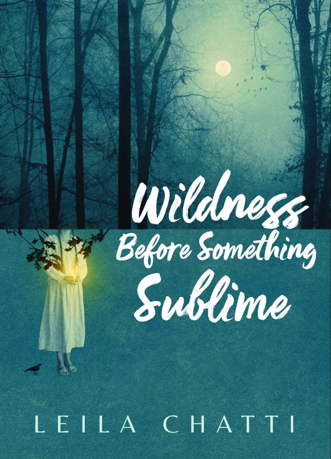 Wildness Before Something Sublime