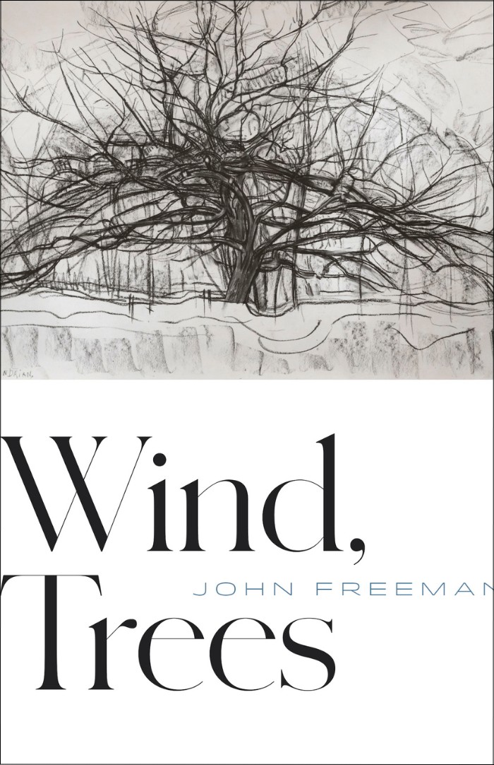 Wind, Trees