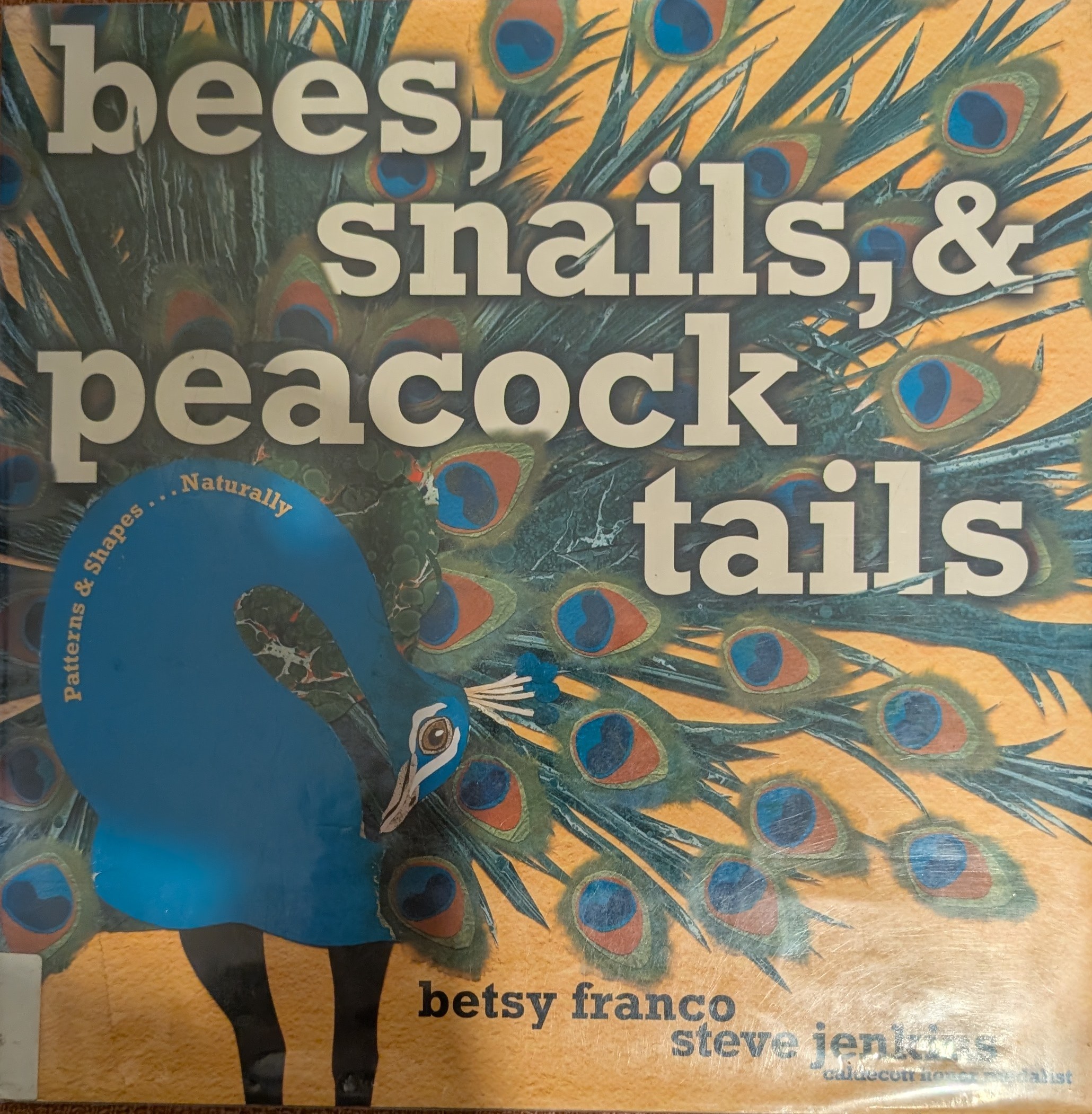 bees, snails, & peacock tails 